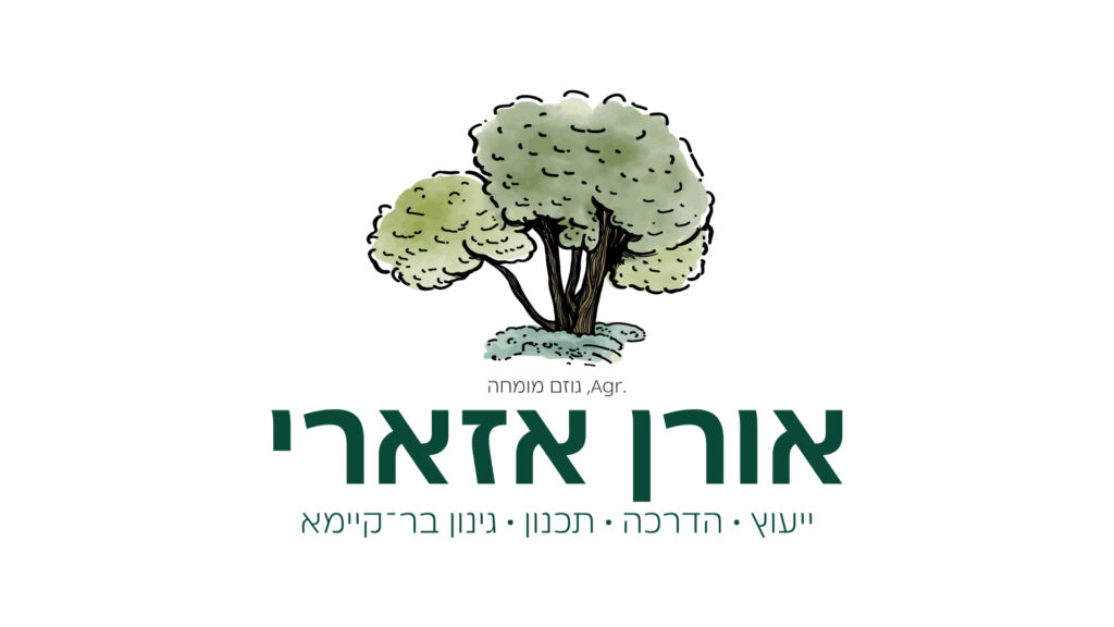 לוגו עץ אלון מאוייר